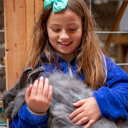 Kids love feeding and greeting our goats, ponies, and more in our petting zoo!