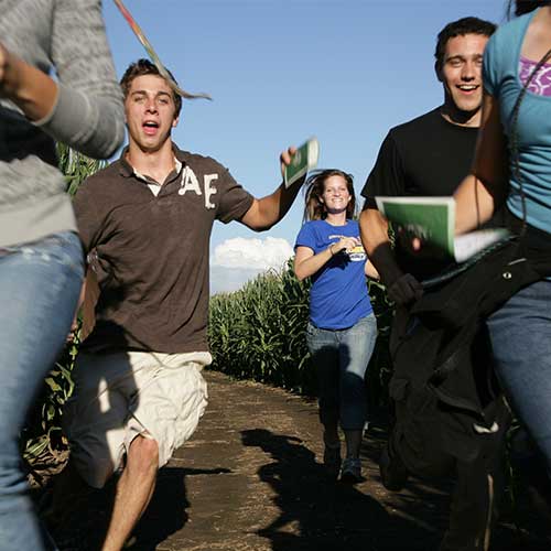 Explore the World's Largest Corn Maze in McHenry County, Illinois