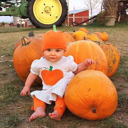 Explore our u-pick pumpkin patch for your very own pick-your-own pumpkin!
