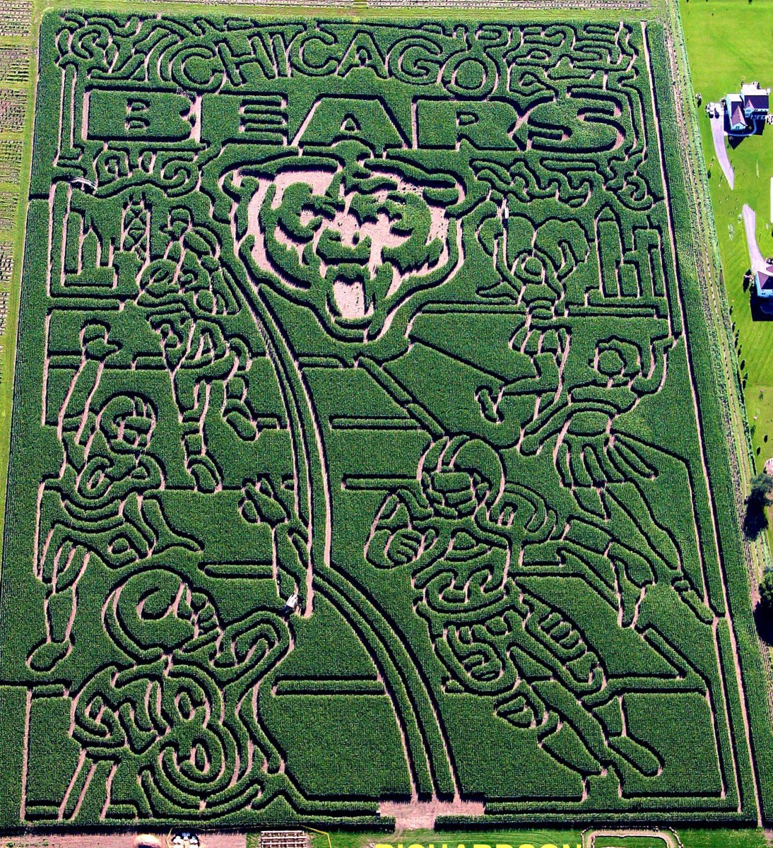 world's largest corn maze