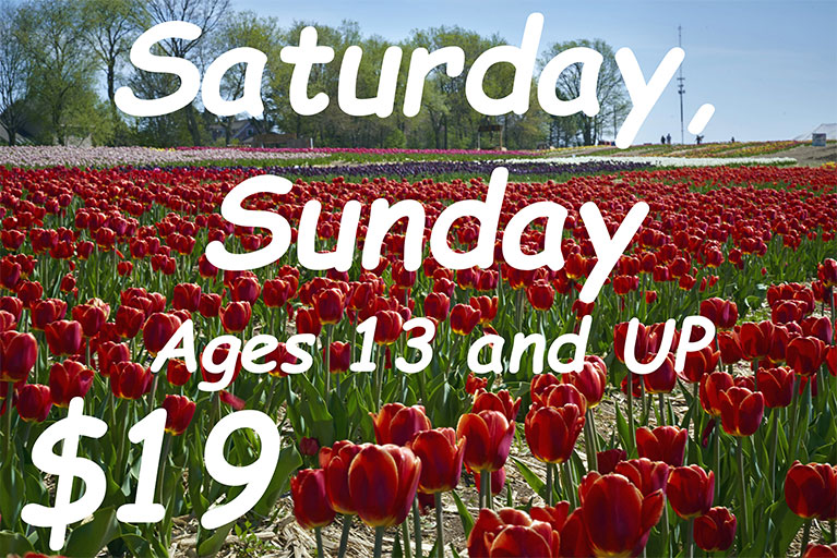 Adult Online Sat/Sun Admission-Tulip Festival 2024