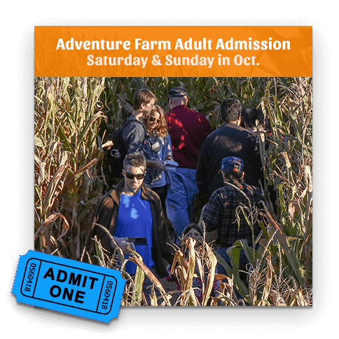 Adult Ticket - Sat or Sun, Oct 5-27, 2024