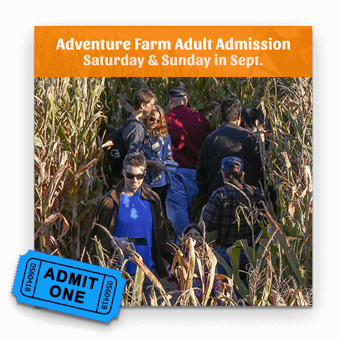 Adult Ticket - Sat or Sun, Sept. 7-29, 2024