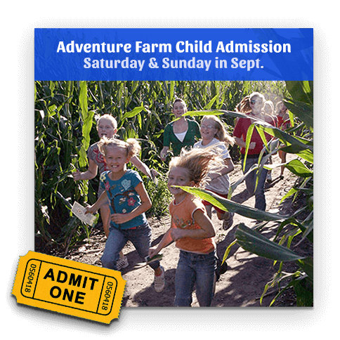 Child Ticket - Sat or Sun, Sept. 7-29, 2024